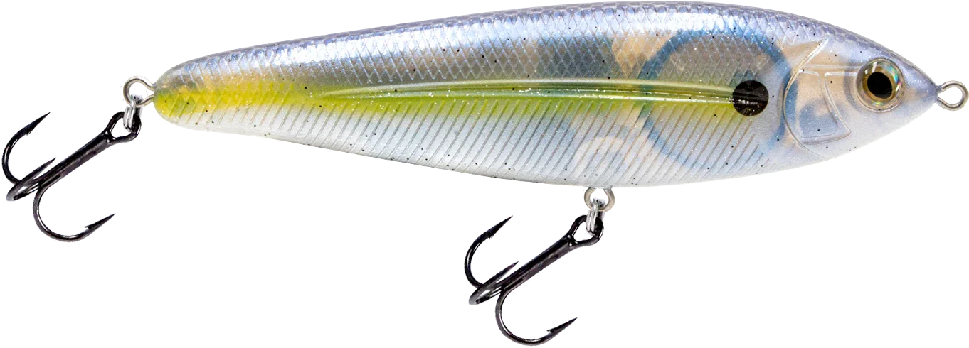 School Master Beauty Shad