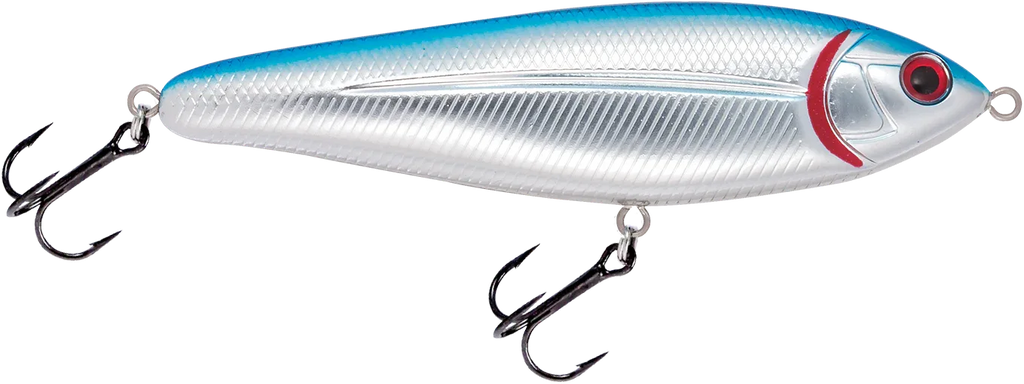 School Master Blue Back Chrome Shad