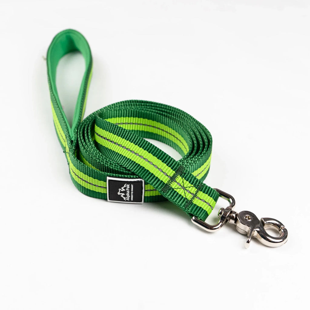 Classic Adventure Flat Dog Leash Kiwi Green