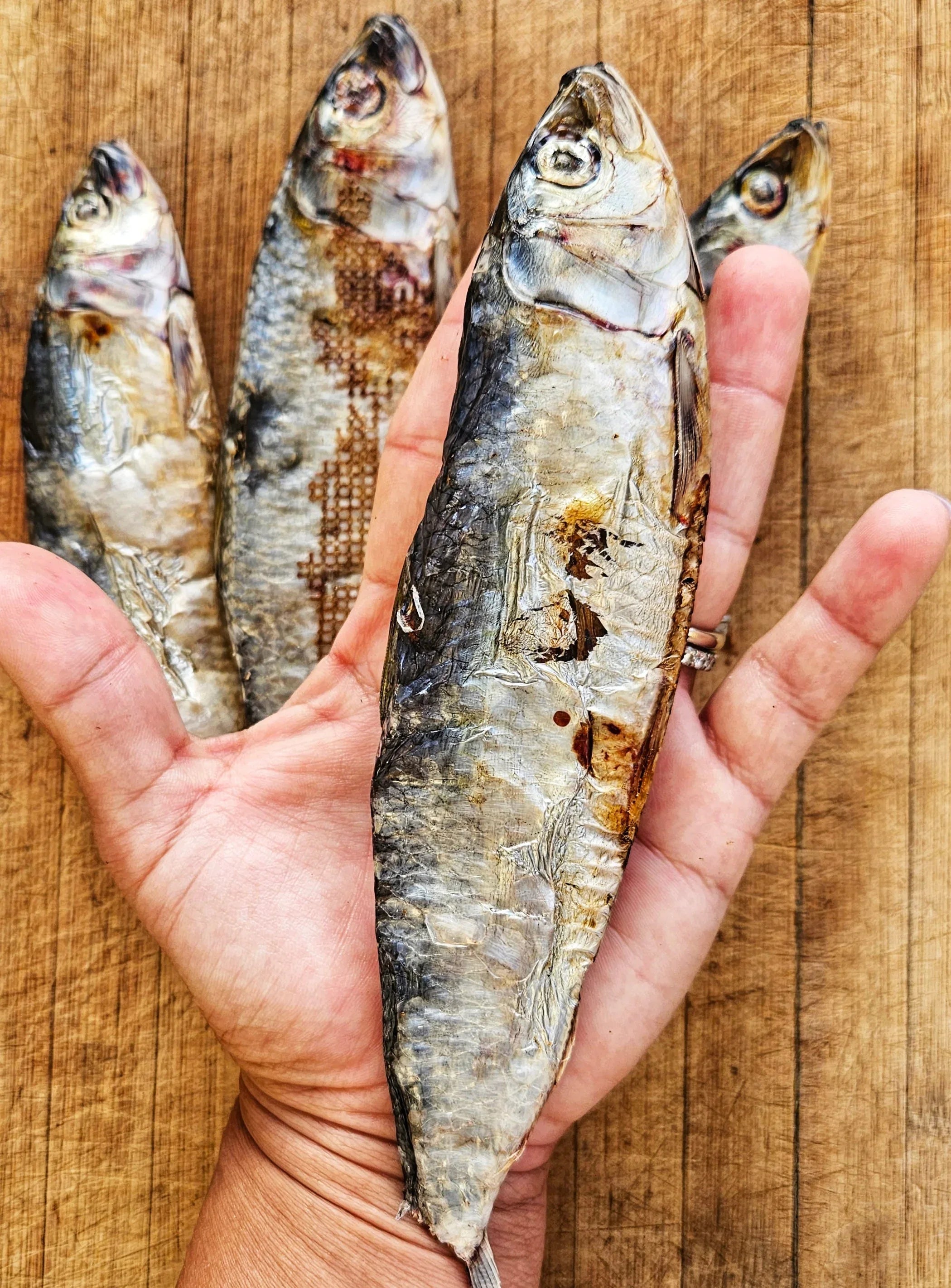 Dehydrated Wild-Caught Sardines for Cats & Dogs — 100% Single Ingredient | Raw Instincts Florida | Qty: 5 Fish