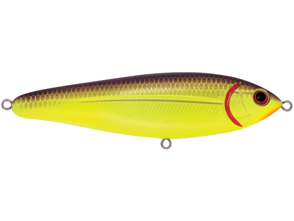 School Master Purple C Shad