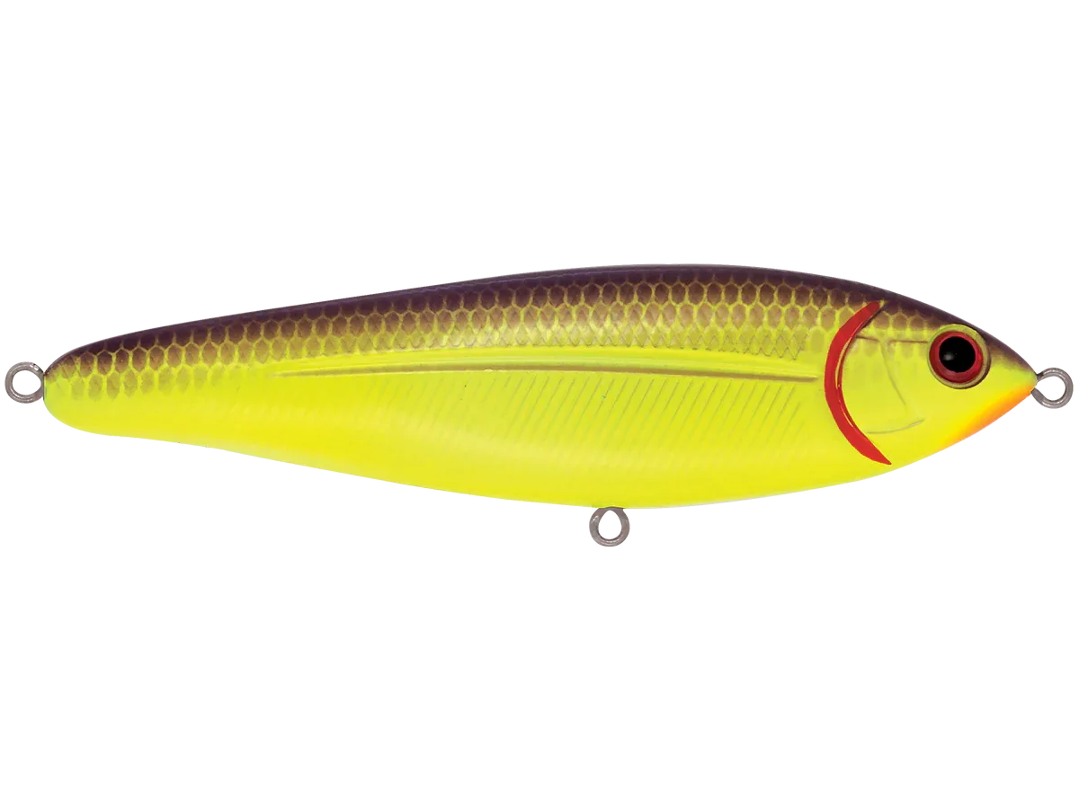 School Master Purple C Shad