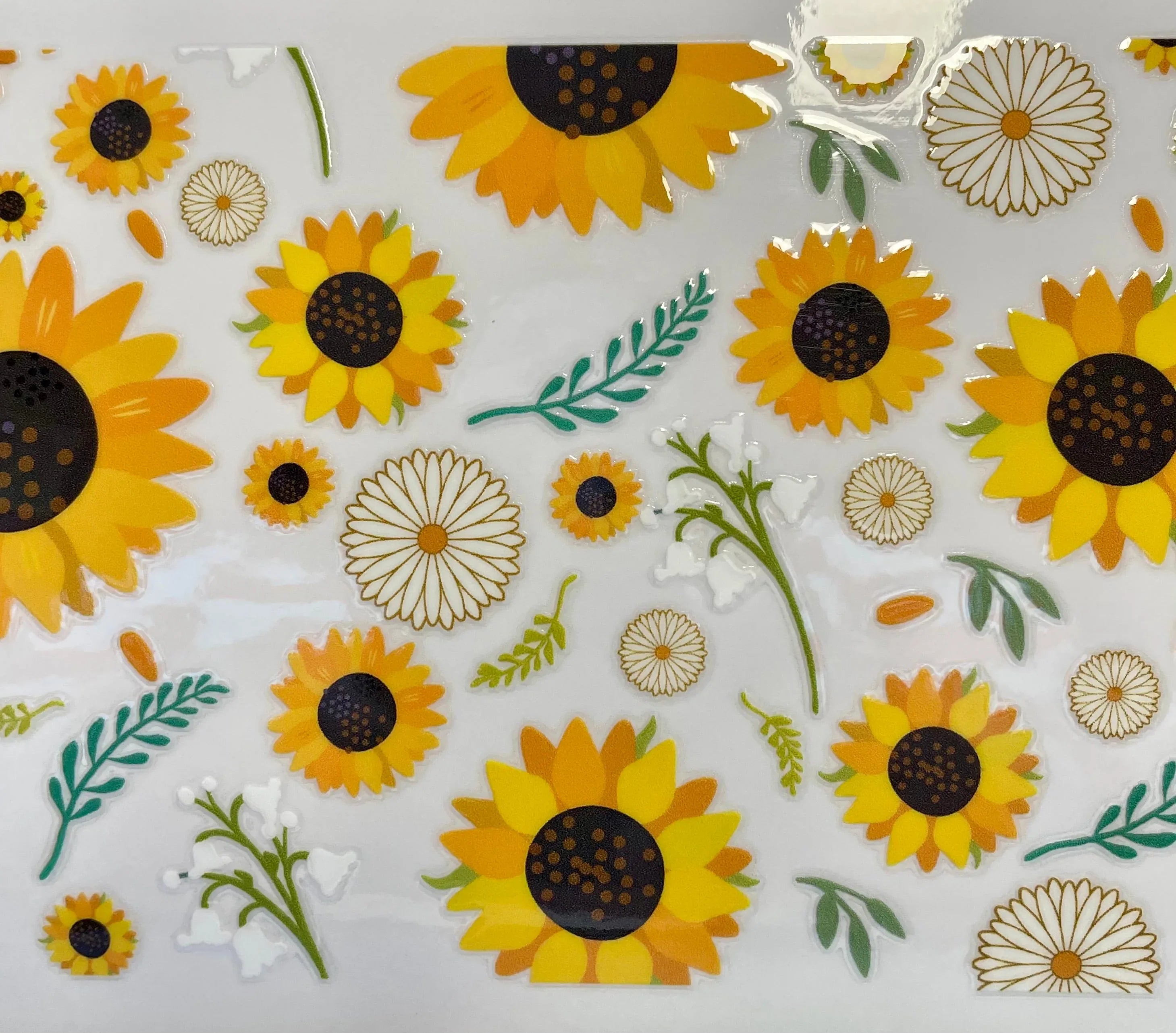 16oz Glass Cup with Lid & Straw