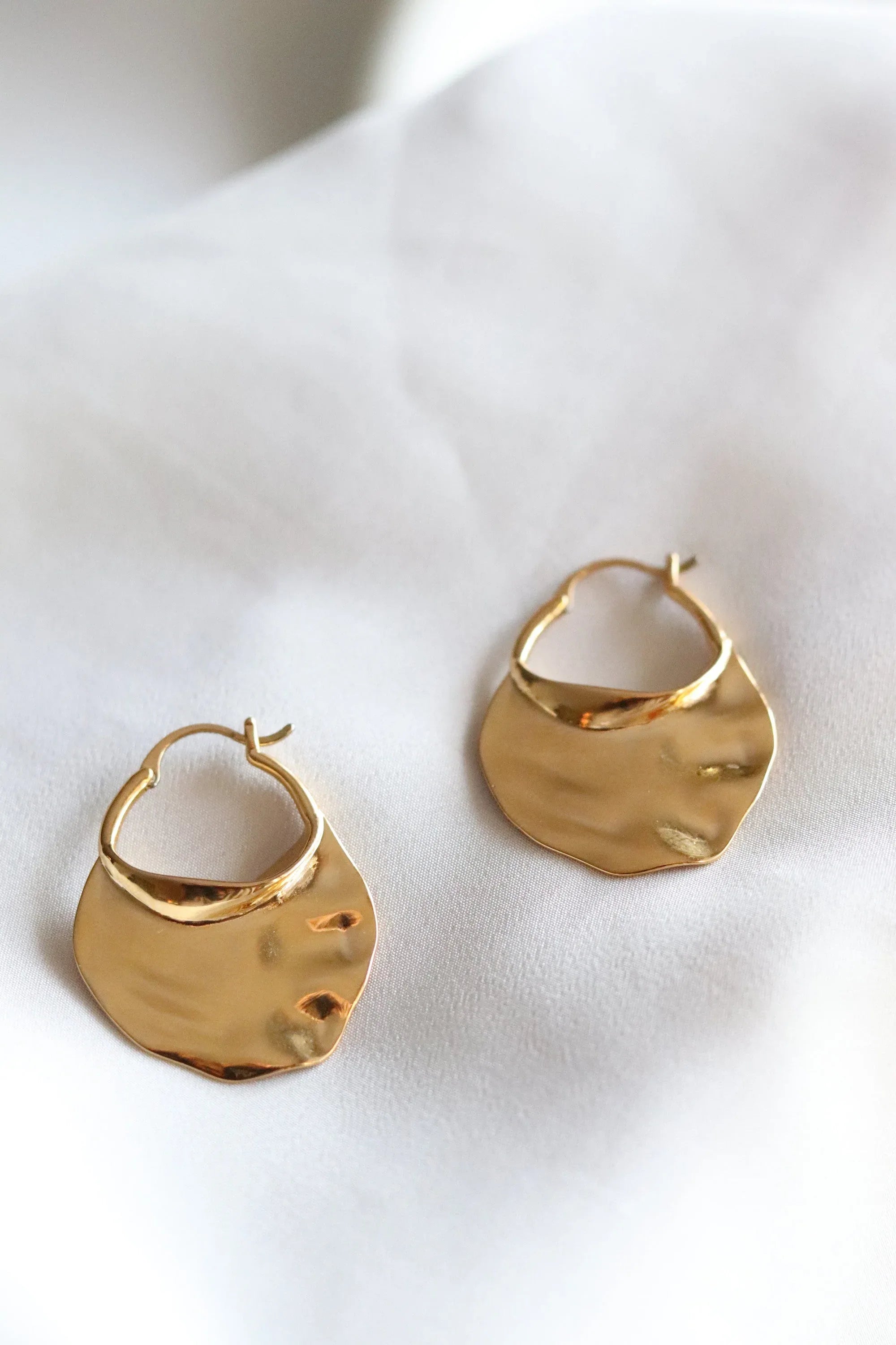 Austin Earrings - Stainless Steel - Gold plated Earrings