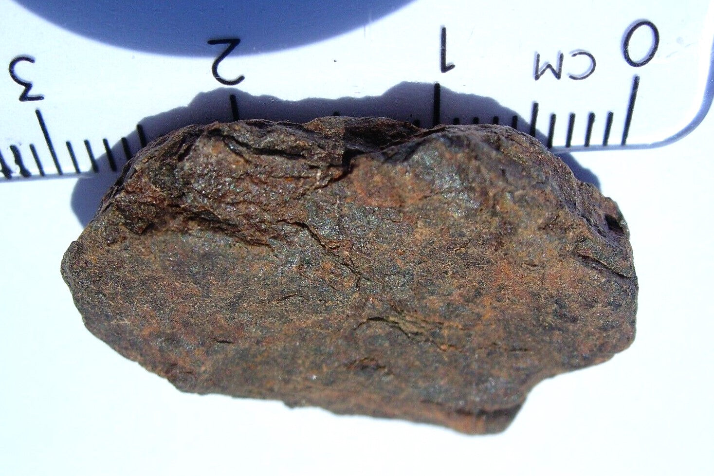 Canyon Diablo Real Iron Meteorite Asteroid Fragment Piece 20g