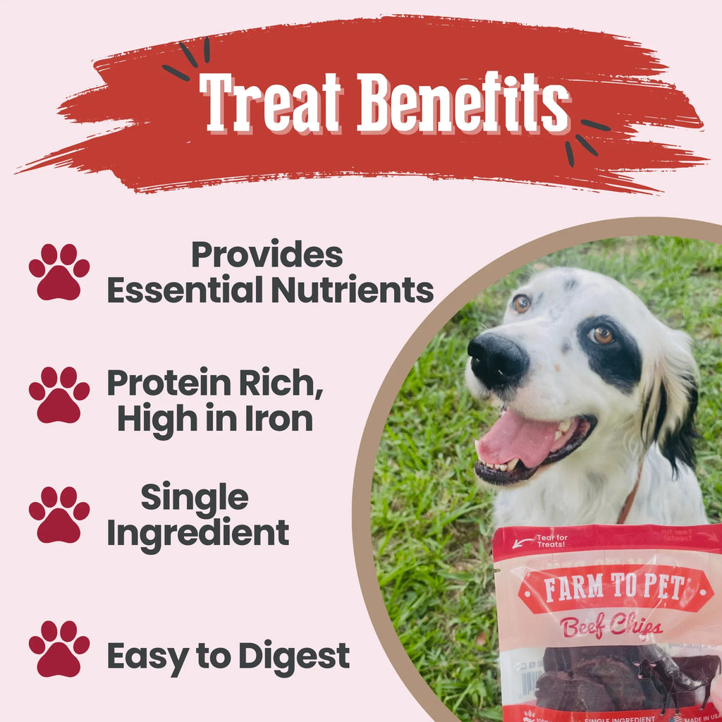 Beef Chips Snack Pack Bundles | Dog Treats for Training & Travel