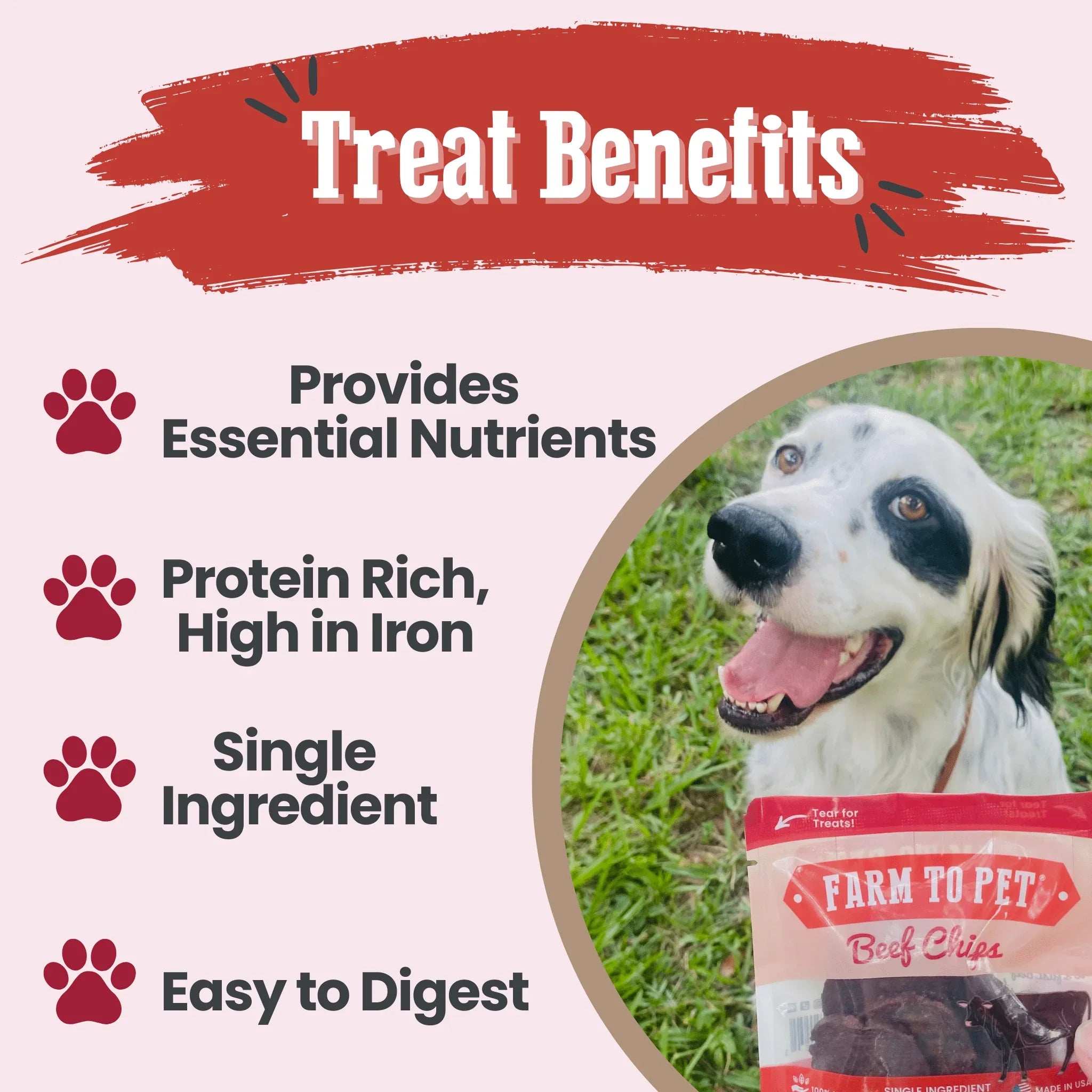 Beef Chips Snack Pack Bundles | Dog Treats for Training & Travel