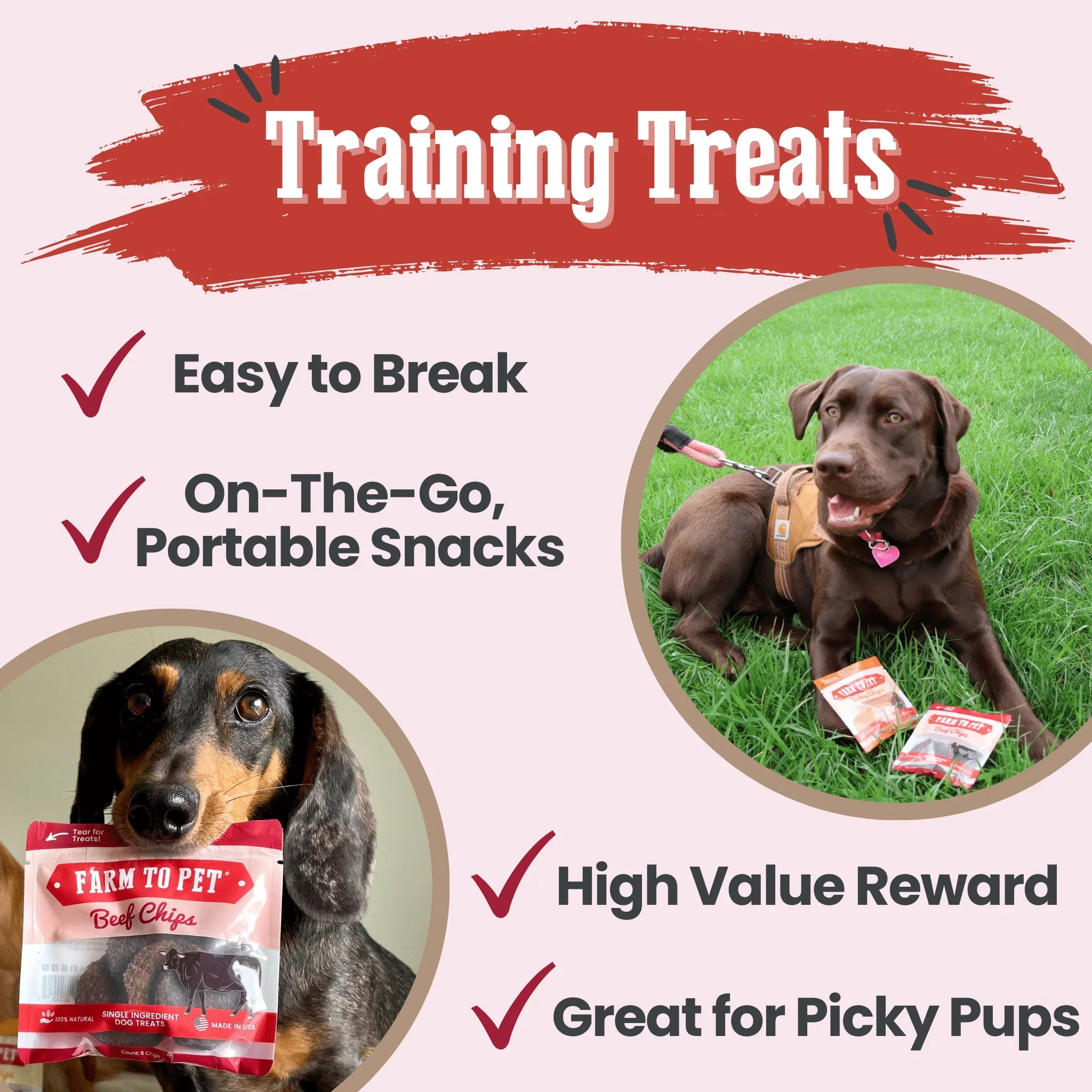 Beef Chips Snack Pack Bundles | Dog Treats for Training & Travel