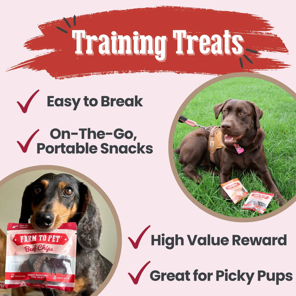 Beef Chips Snack Pack Bundles | Dog Treats for Training & Travel