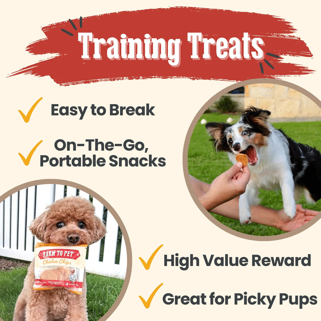 Chicken Chips Snack Pack Bundles | Dog Party Favors & Training Treats