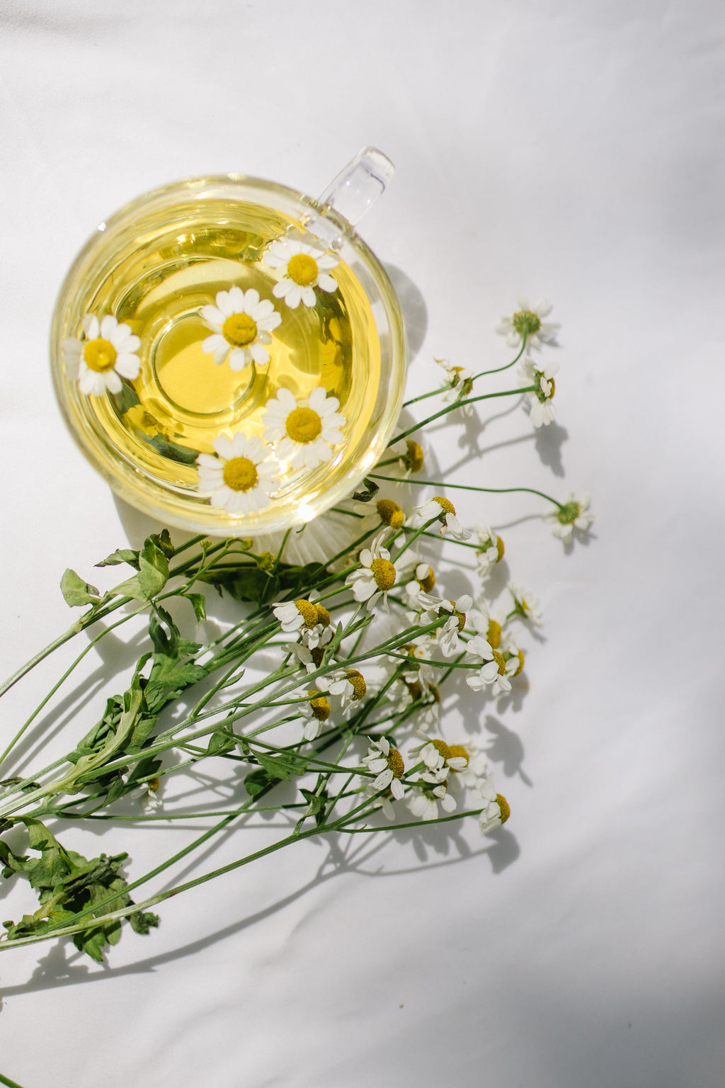 Soft Chamomile Medley Herbal Tea