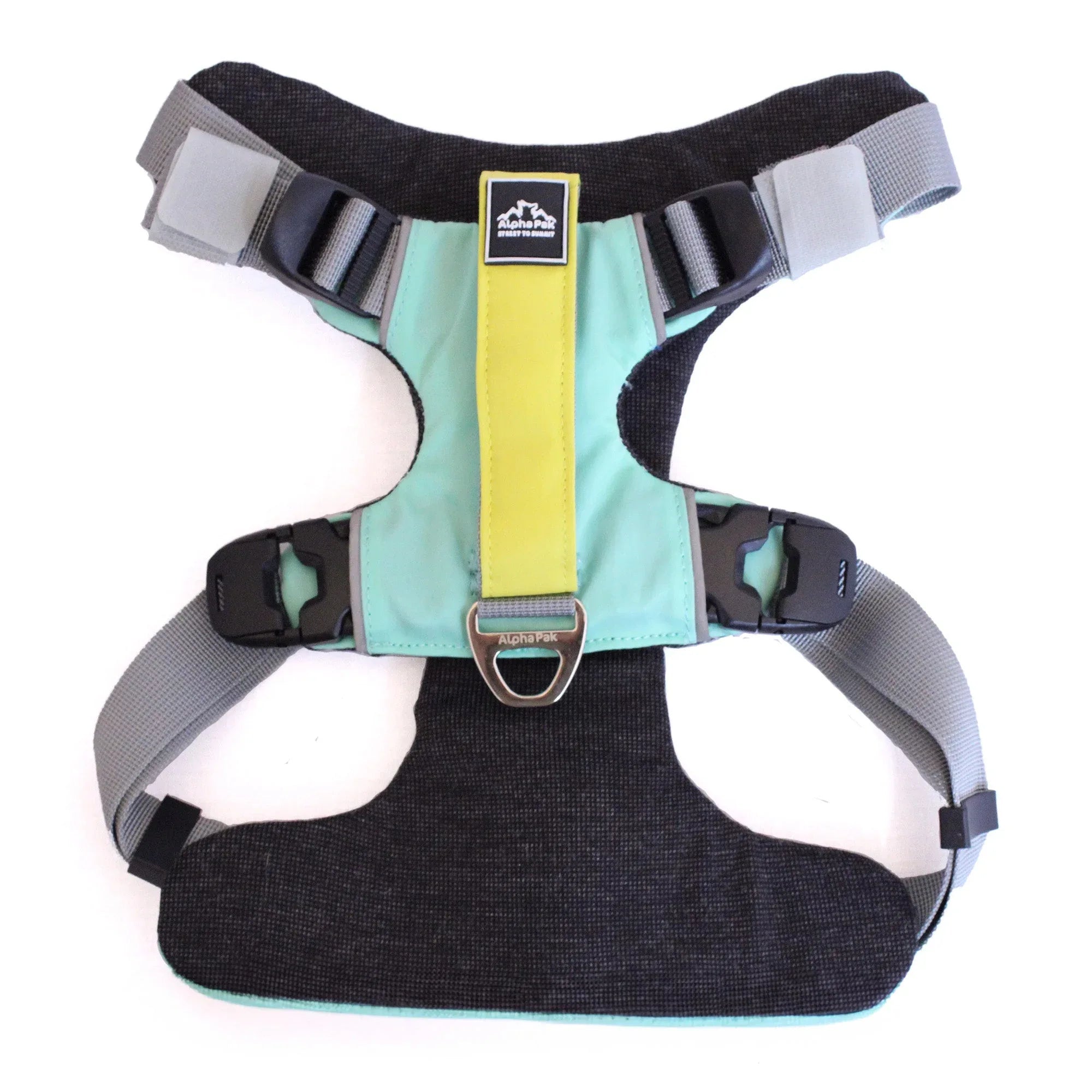 Everyday Adventure Dog Harness Riptide Teal