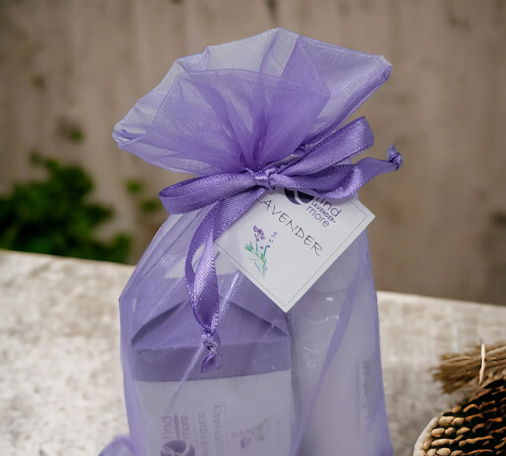 Organza Gift bag