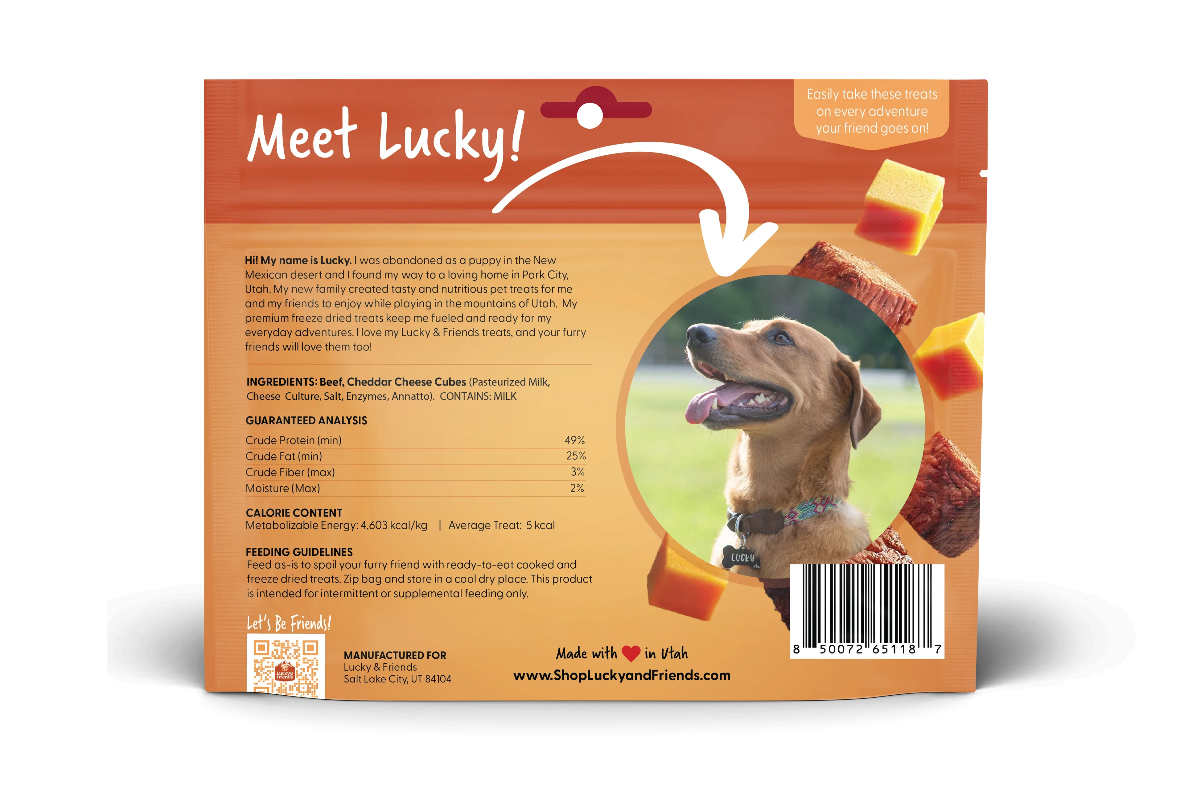 Steak & Cheddar Cheese Bites Dog Treats