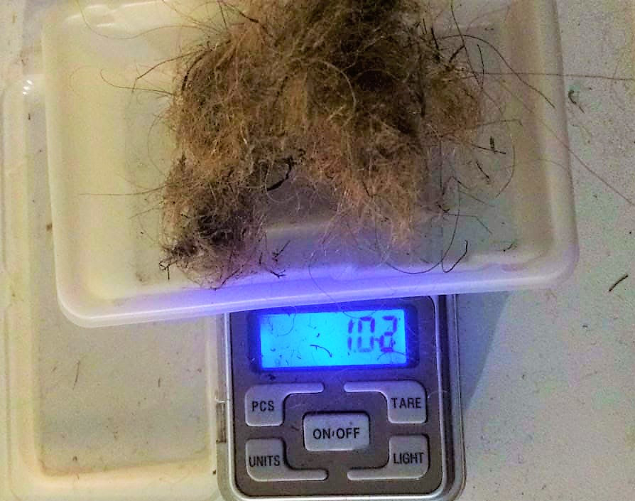 Siberian Mammoth Real Fossilized Hair Sample, 1 Gram Wool Extract