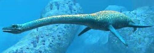 Plesiosaur Tooth Marine Reptile 1 1/2 Inches Long Genuine Fossil