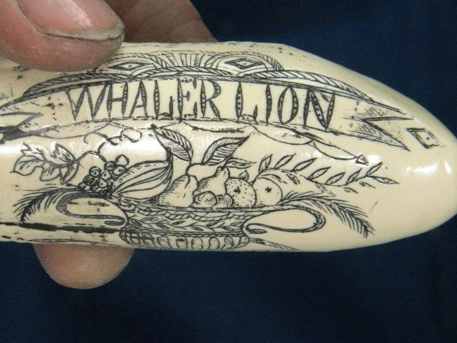 Sperm Whale Tooth Replica Scrimshaw 4 Inches Long Whaler Lion Resin Model