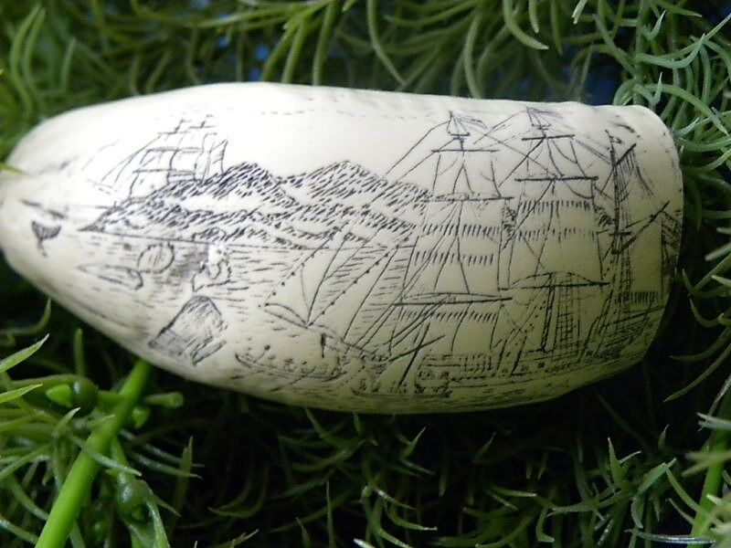 Sperm Whale Tooth Replica Scrimshaw 4 Inches Long Whaler Lion Resin Model