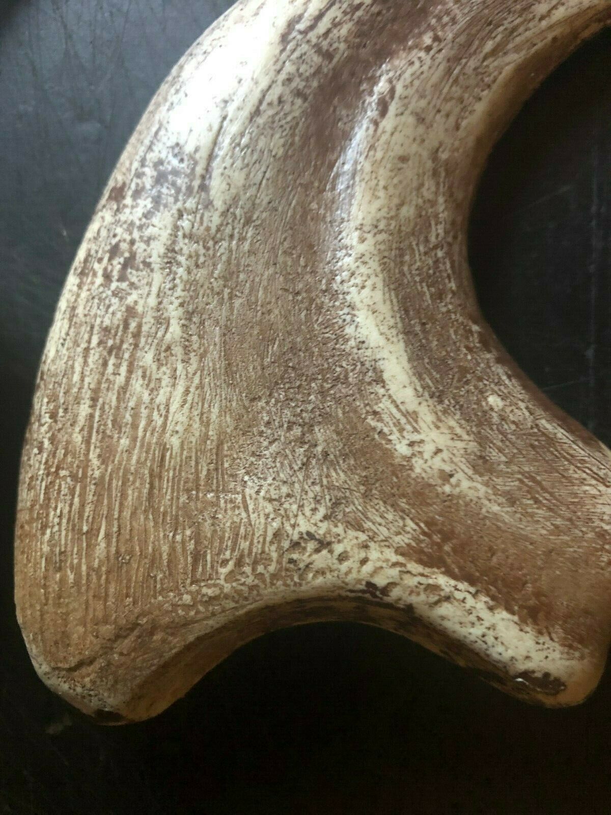 Utahraptor Claw Replica 9 Inches Long Beige Resin Model