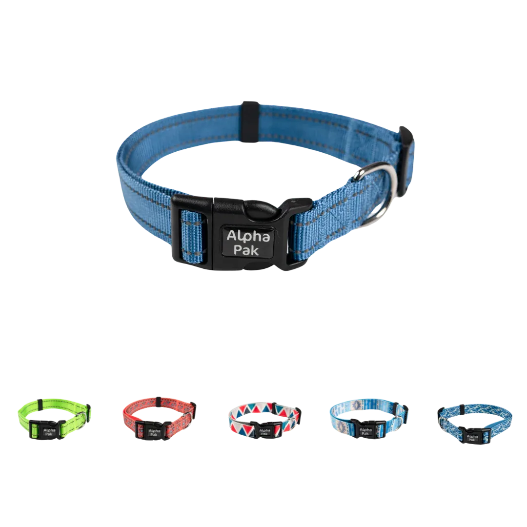 Everyday Adventure Dog Collar