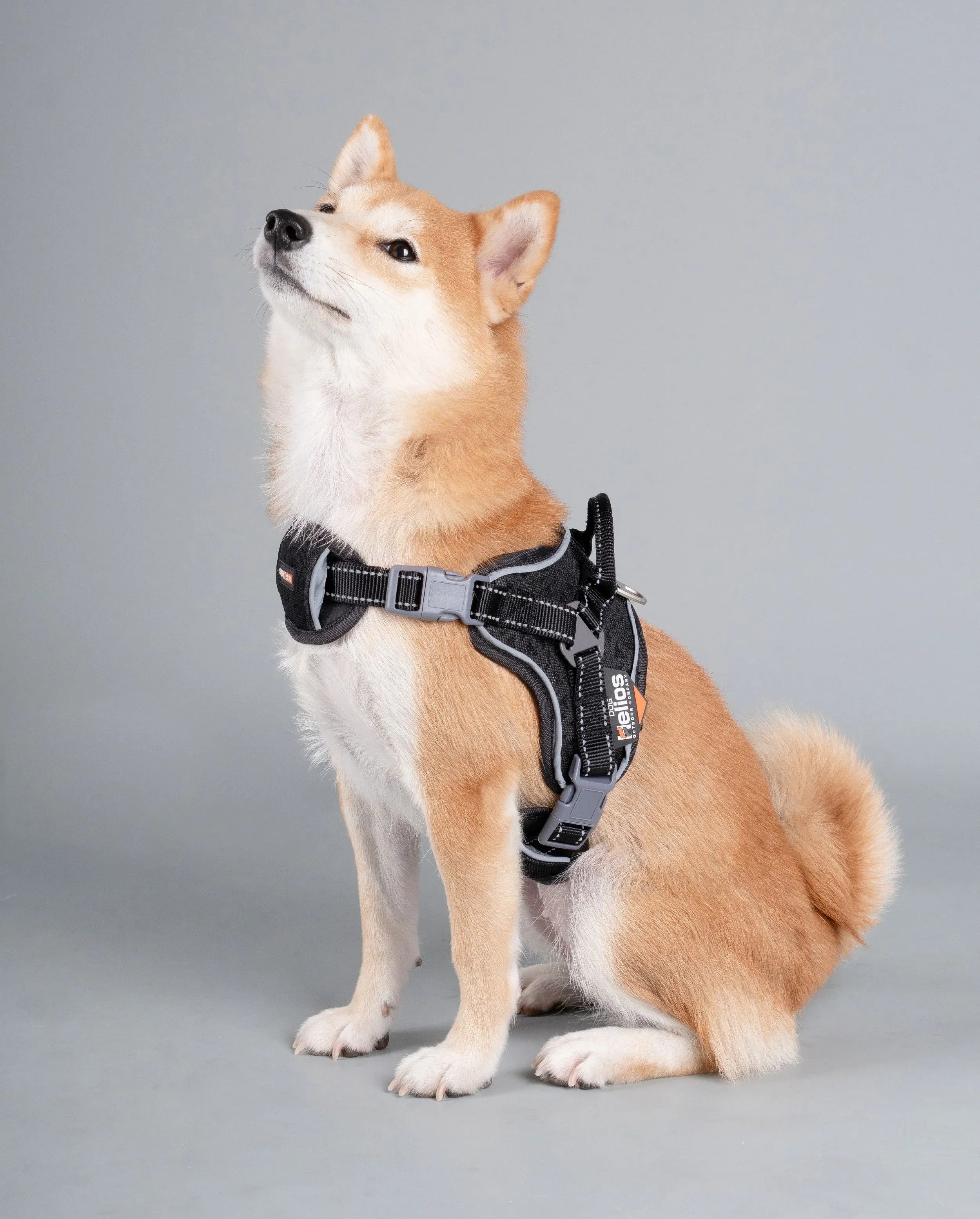 Dog Helios ® 'Scorpion' Sporty High-Performance Free-Range Dog Harness