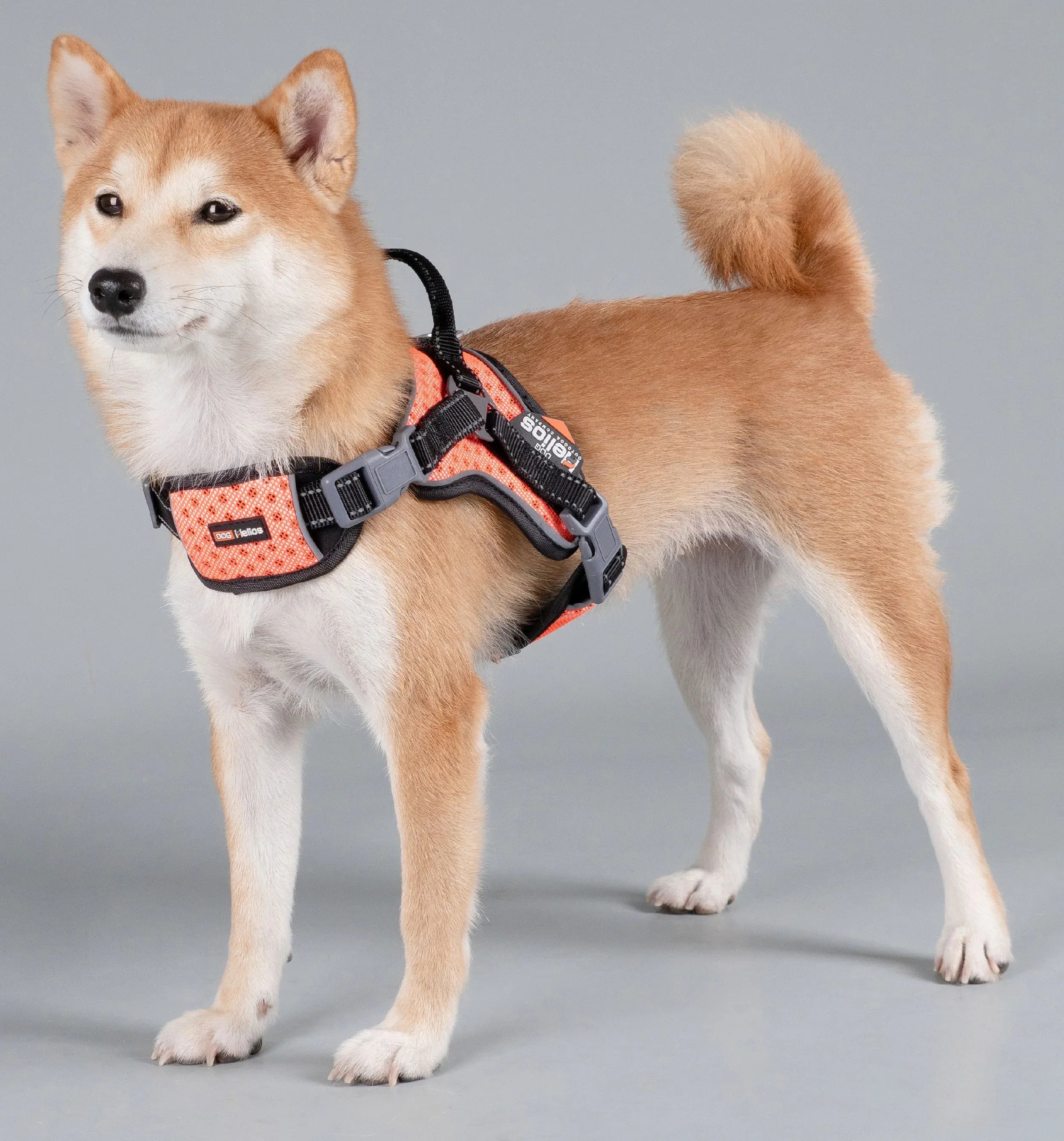 Dog Helios ® 'Scorpion' Sporty High-Performance Free-Range Dog Harness