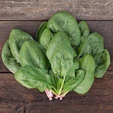 Heirloom Organic Whale Spinach Seeds