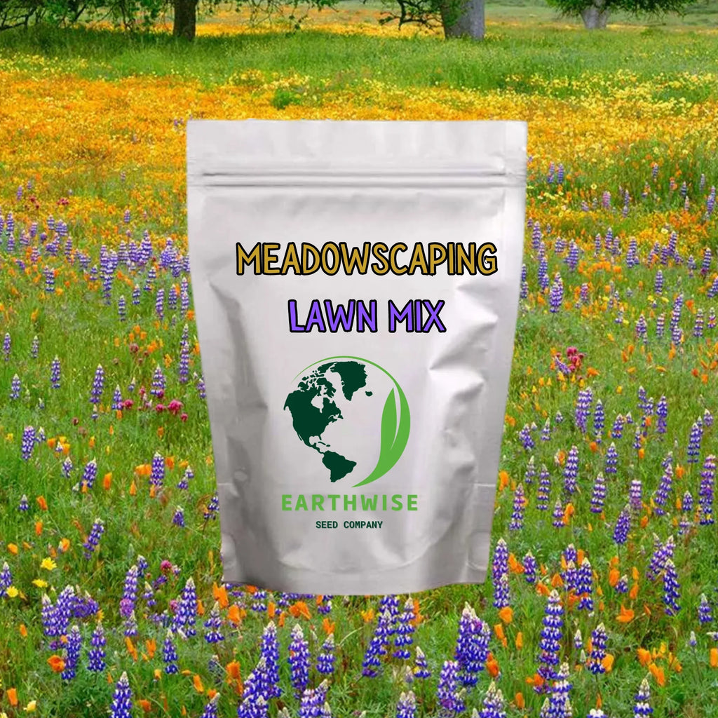 Meadowscaping Mix Alternative Lawn Seed