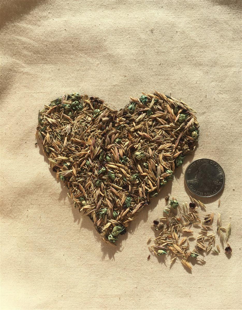 Meadowscaping Mix Alternative Lawn Seed