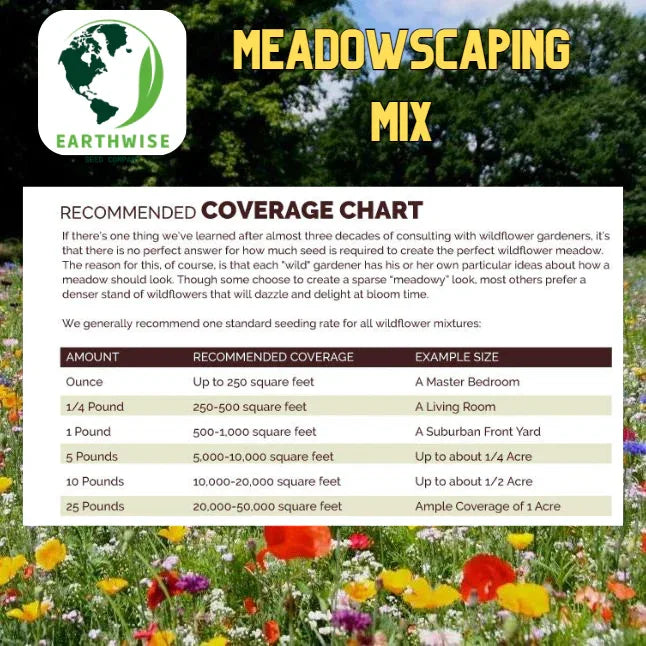 Meadowscaping Mix Alternative Lawn Seed