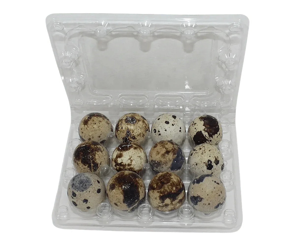 12-cell Jumbo Quail Egg Cartons (3x4)
