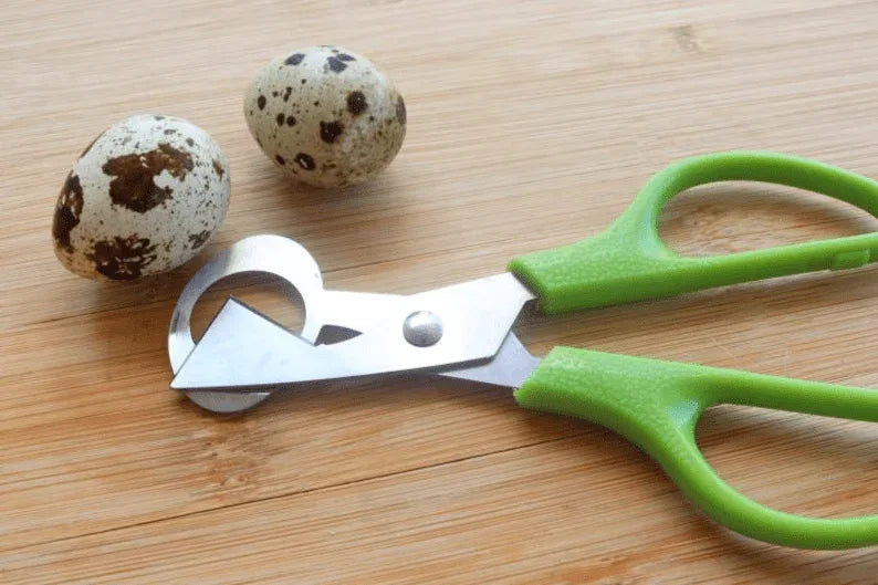 6 Dozen Farm Fresh n Tasty Organic Jumbo Quail Eggs