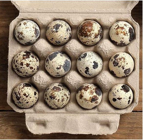 8 Dozen Farm Fresh n Tasty Organic Jumbo Quail Eggs Pulp