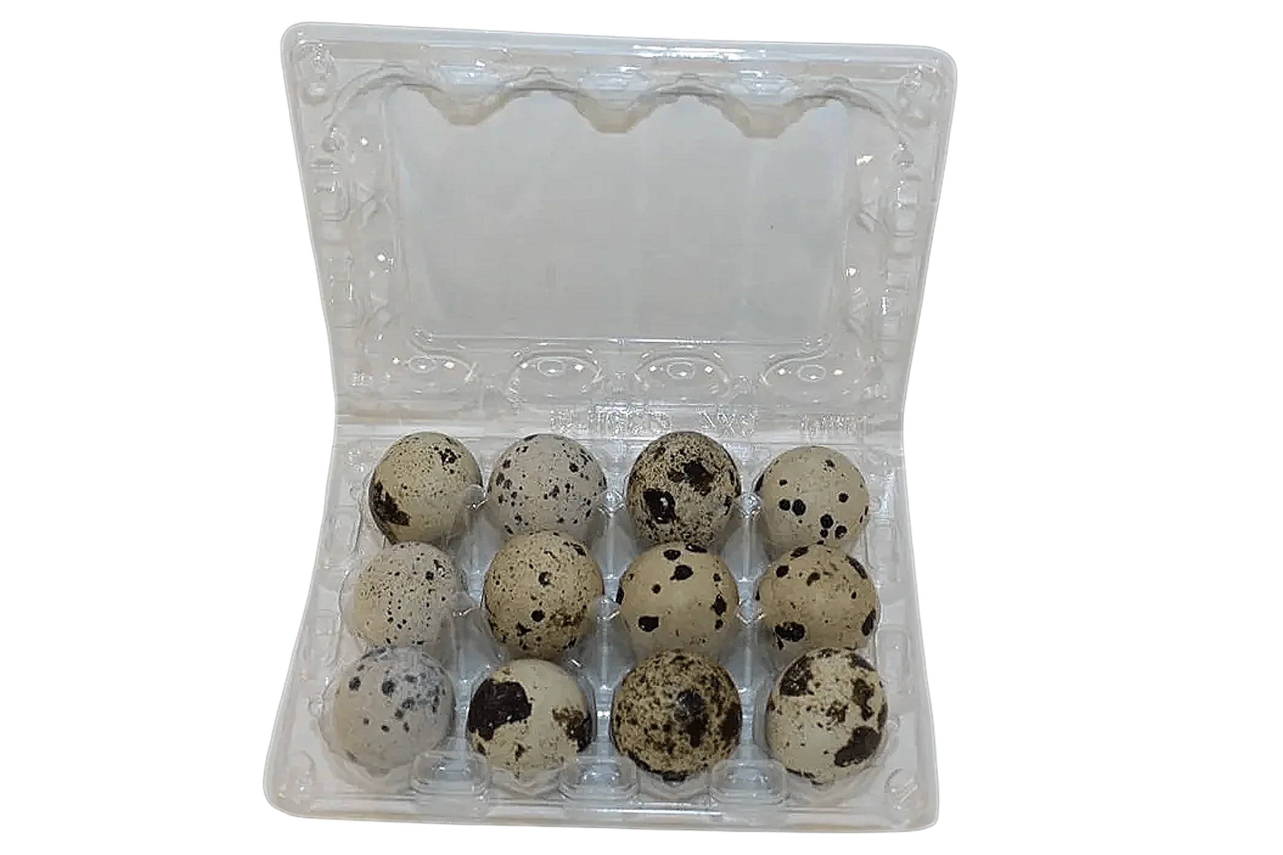 12-cell Large Jumbo Quail/Pigeon Egg Cartons (3x4)