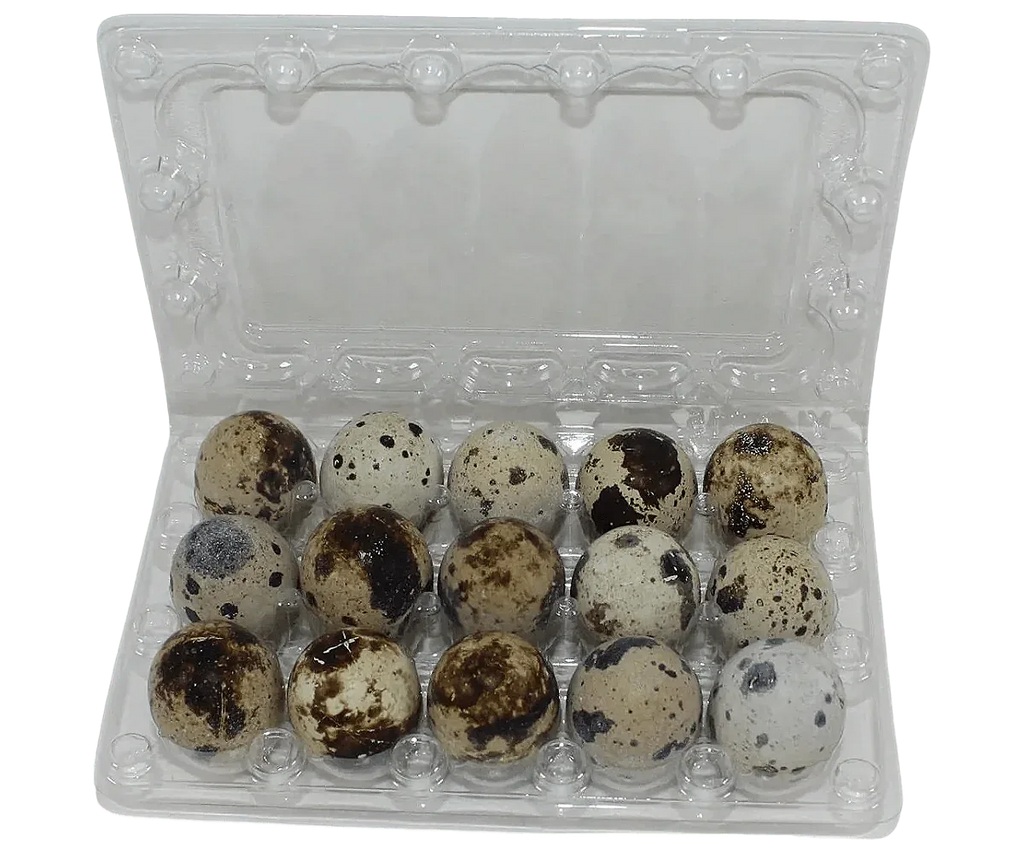 15-cell Jumbo Quail Egg Cartons (3x5)