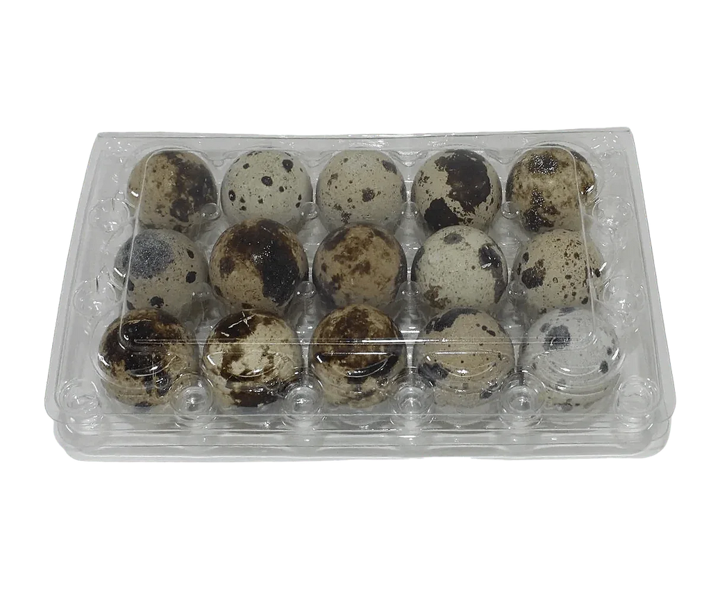 15-cell Jumbo Quail Egg Cartons (3x5)