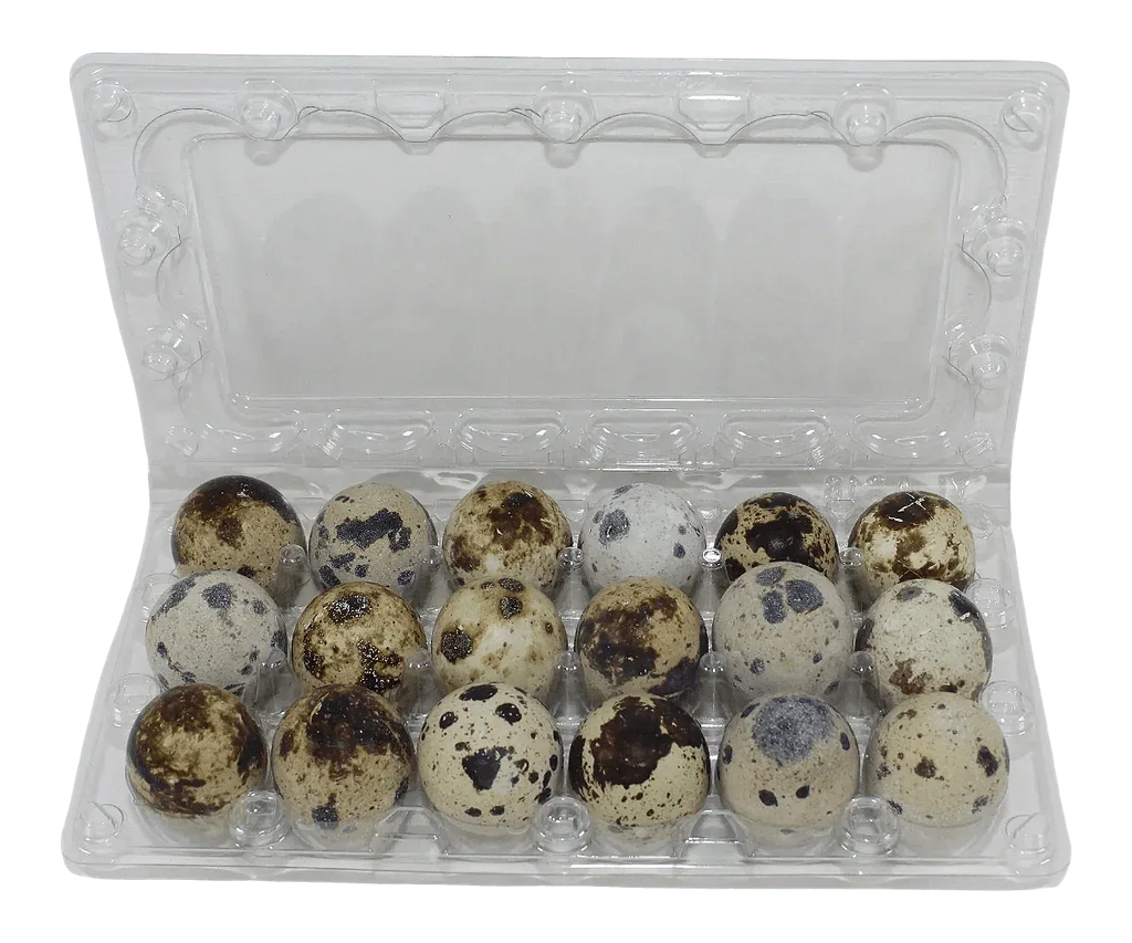 18-cell Jumbo Quail Egg Cartons (3x6)