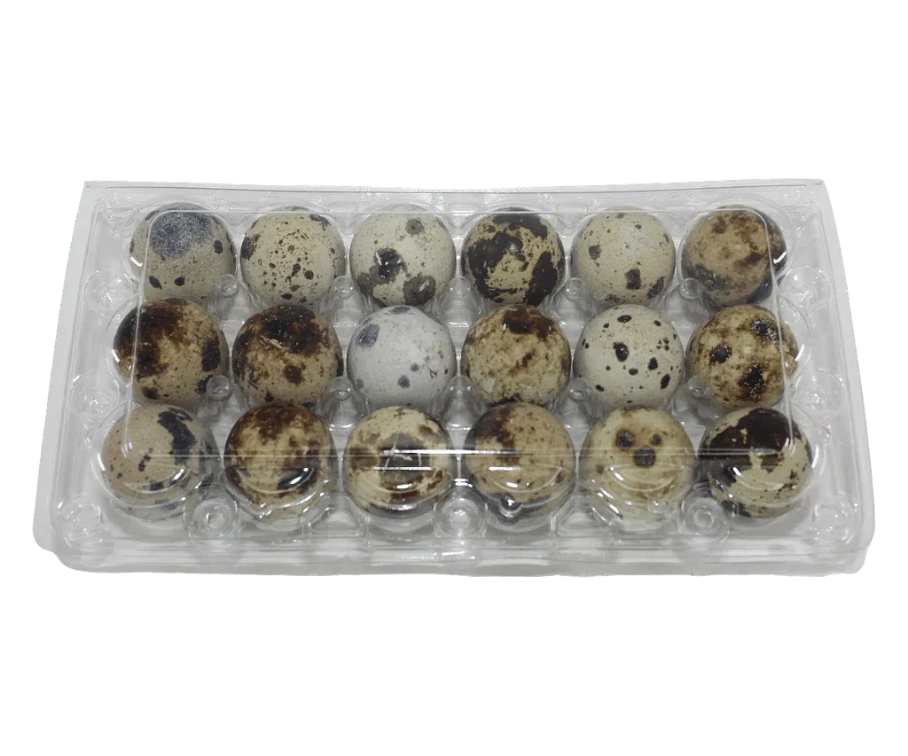 18-cell Jumbo Quail Egg Cartons (3x6)