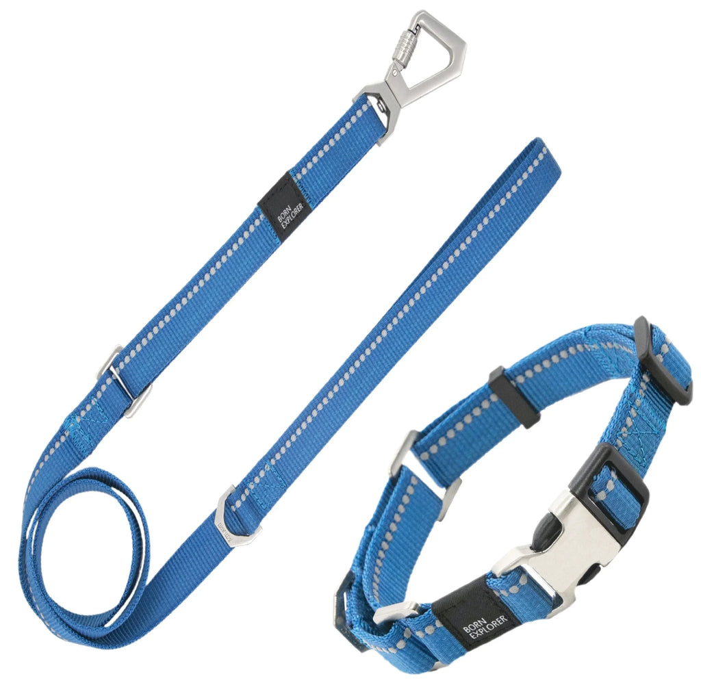 Pet Life ® 'Advent' Outdoor Series 3M Reflective 2-in-1 Durable Martingale Training Dog Leash and Collar Blue