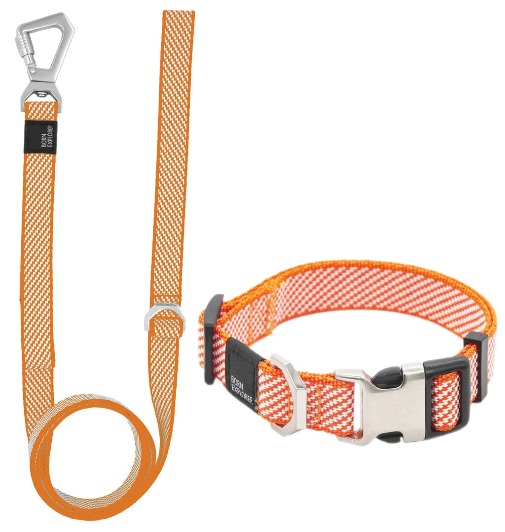 Pet Life ® 'Escapade' Outdoor Series 2-in-1 Convertible Dog Leash and Collar Orange
