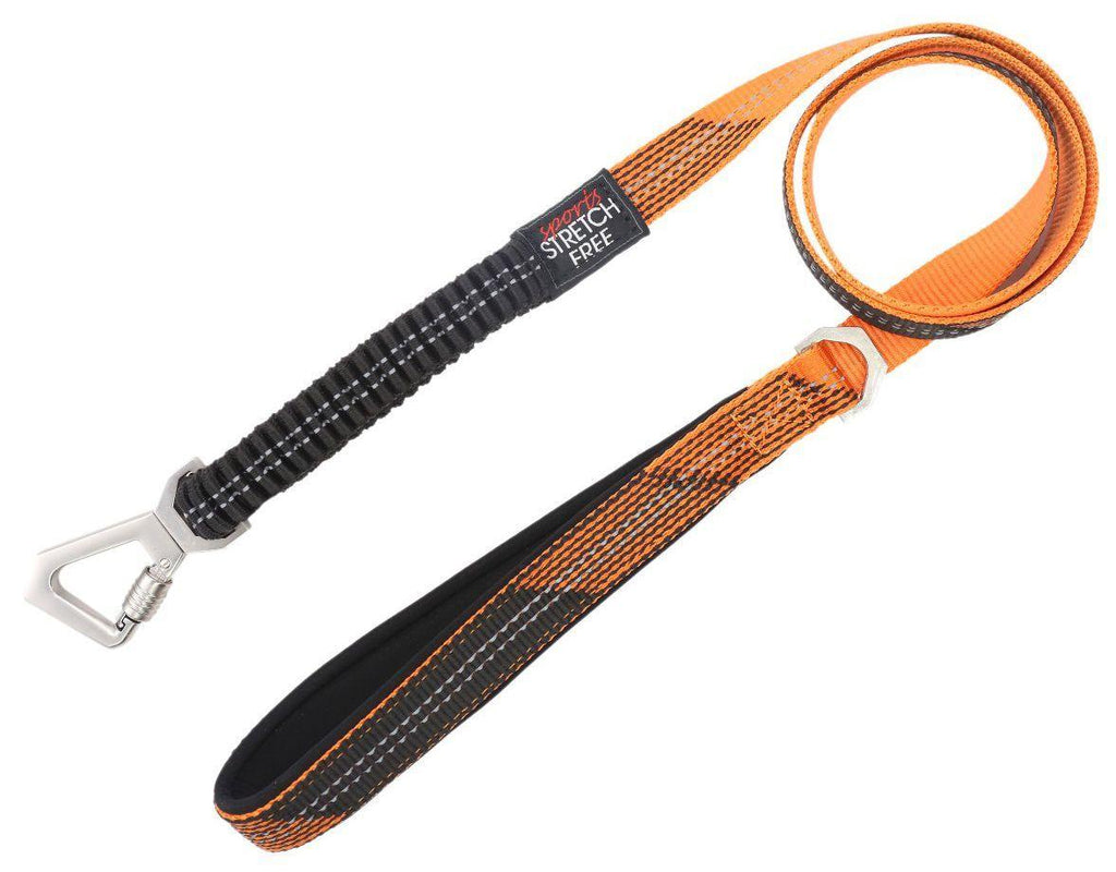Pet Life ® 'Geo-prene' 2-in-1 Shock Absorbing Neoprene Padded Reflective Dog Leash and Collar