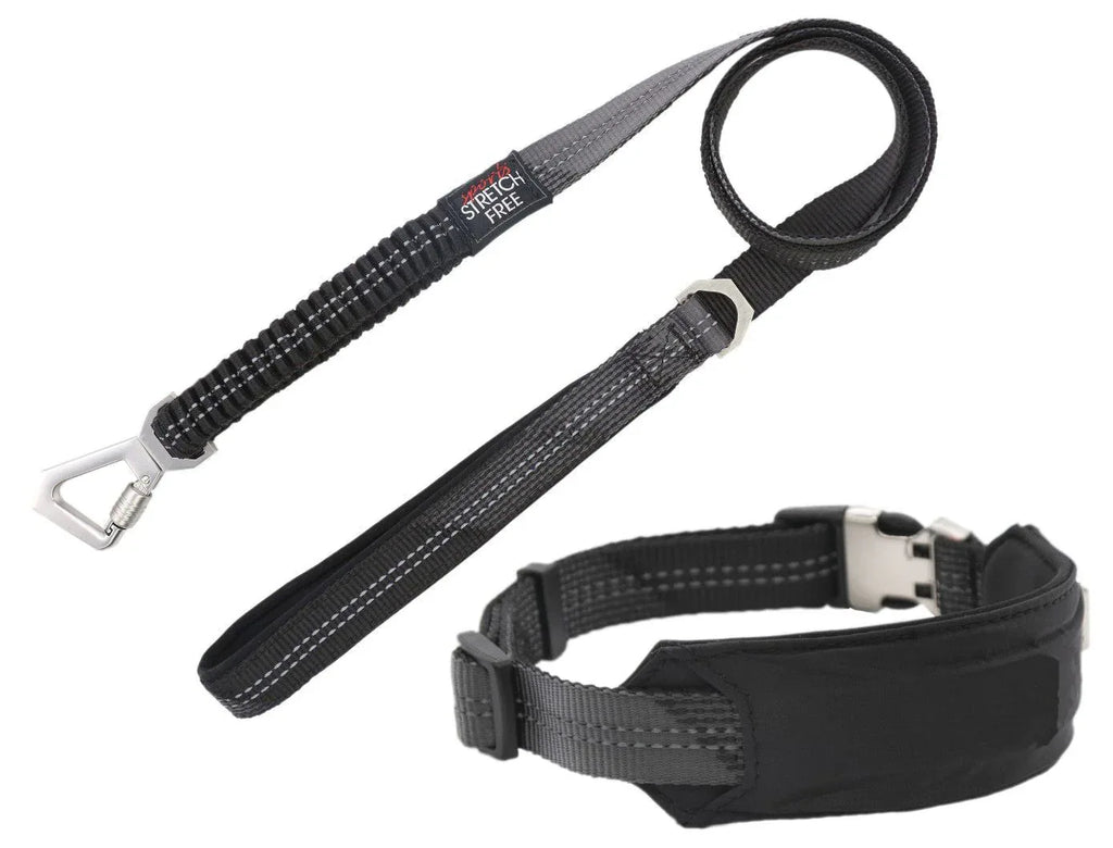 Pet Life ® 'Geo-prene' 2-in-1 Shock Absorbing Neoprene Padded Reflective Dog Leash and Collar Black