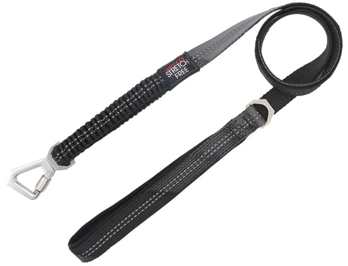 Pet Life ® 'Geo-prene' 2-in-1 Shock Absorbing Neoprene Padded Reflective Dog Leash and Collar