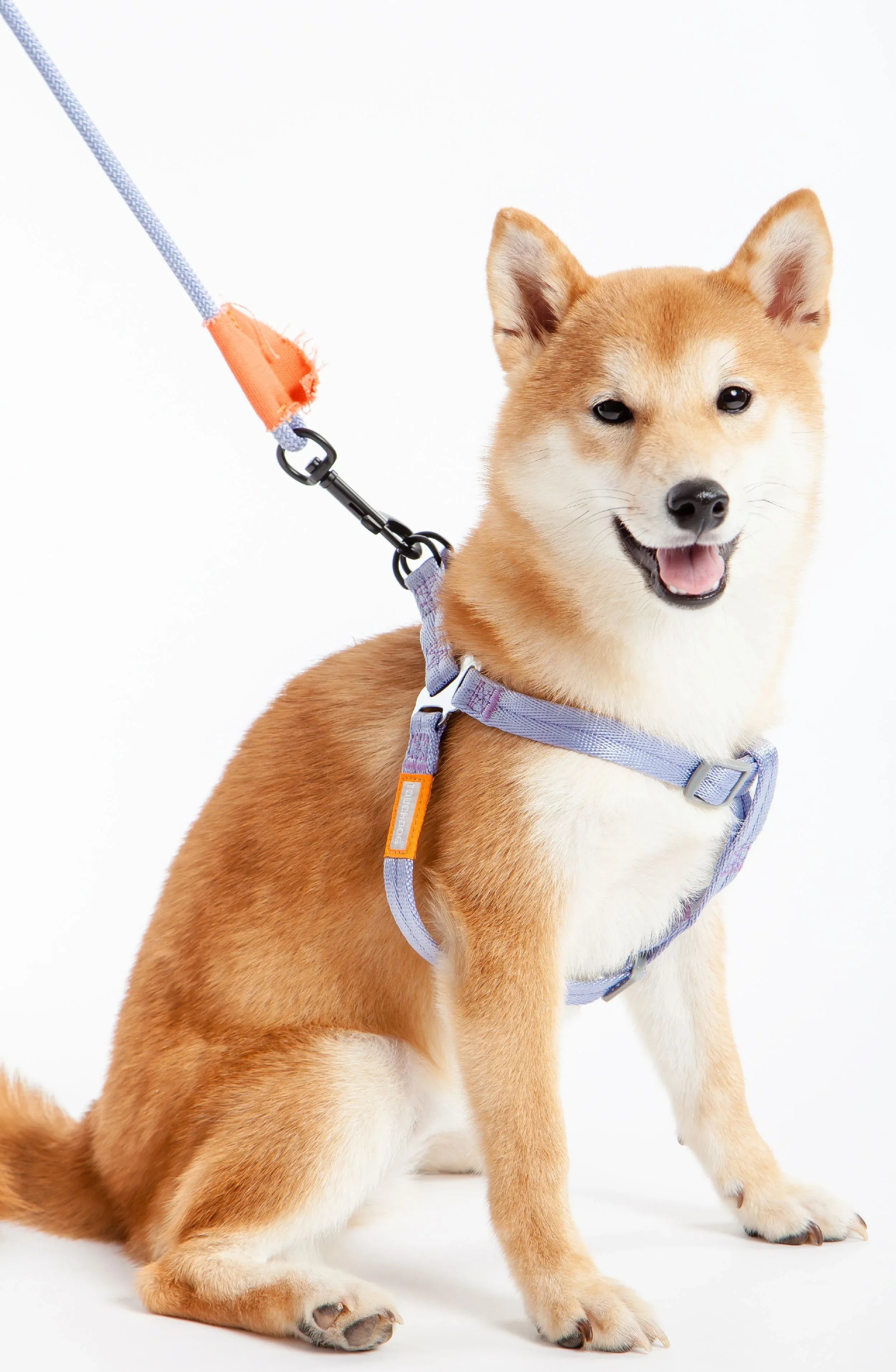 Touchdog ® 'Macaron' 2-in-1 Durable Nylon Dog Harness and Leash