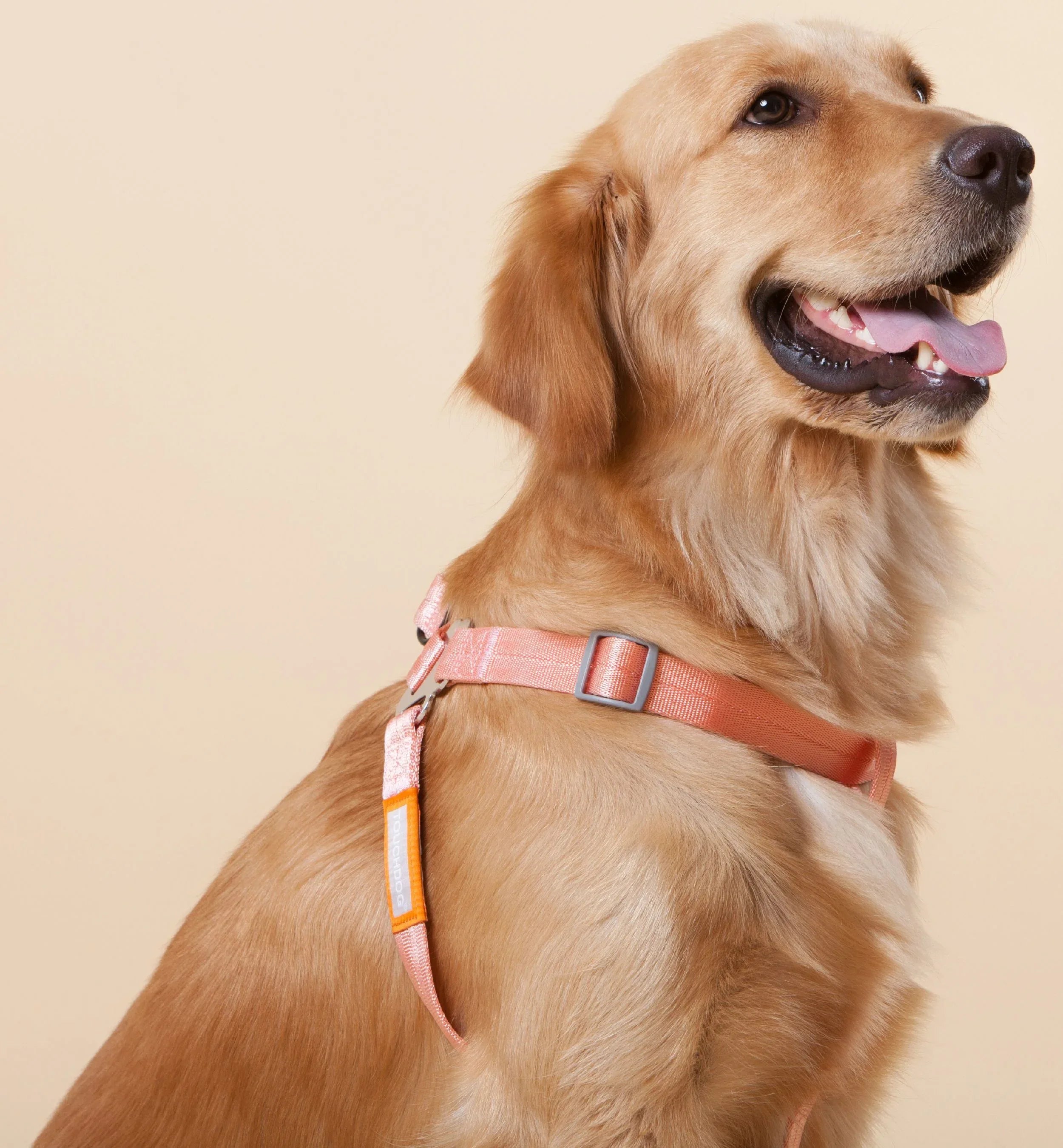 Touchdog ® 'Macaron' 2-in-1 Durable Nylon Dog Harness and Leash